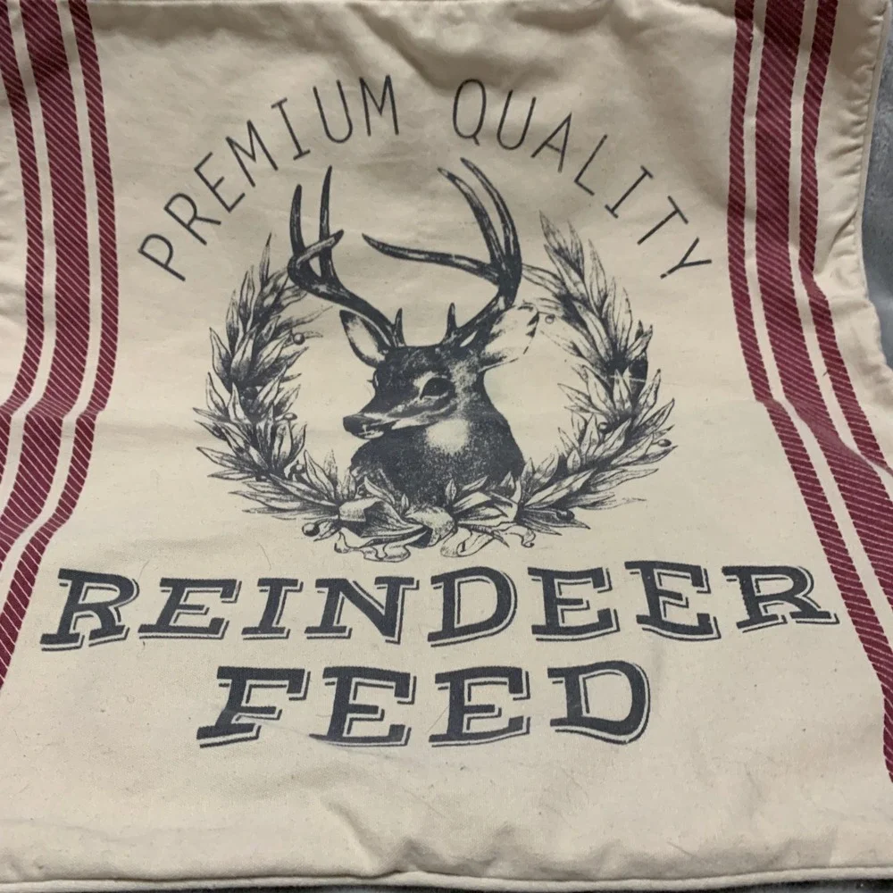 Rachel Ashwell The Prairie Reindeer Feed Christmas Pillow Cover Red Cream 19x19